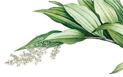 Hotel Labaris Khao Yai