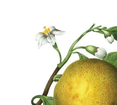 Hotel Labaris Khao Yai