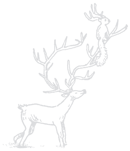 Hotel Labaris Khao Yai