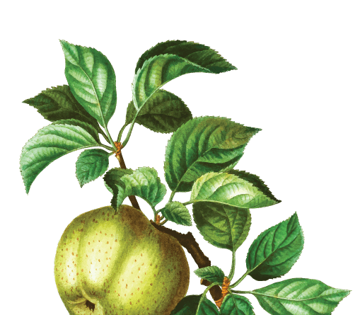 Hotel Labaris Khao Yai