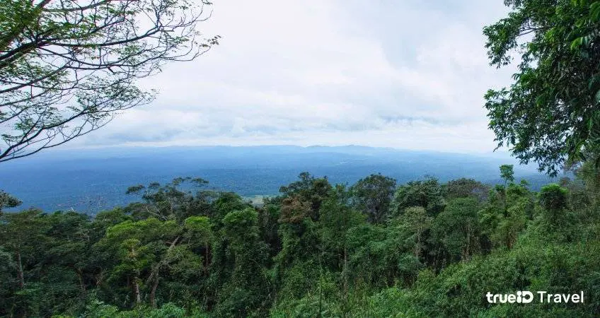 จุดชมวิวเขาใหญ่ธรรมชาติสวย